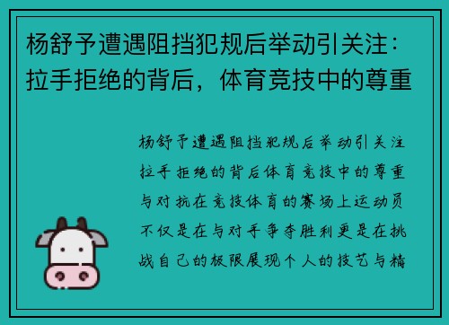 杨舒予遭遇阻挡犯规后举动引关注：拉手拒绝的背后，体育竞技中的尊重与对抗