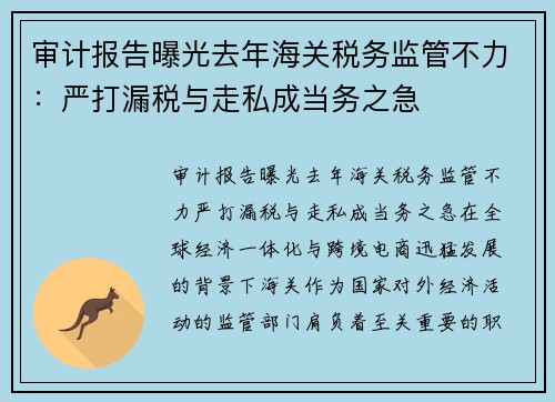 审计报告曝光去年海关税务监管不力：严打漏税与走私成当务之急
