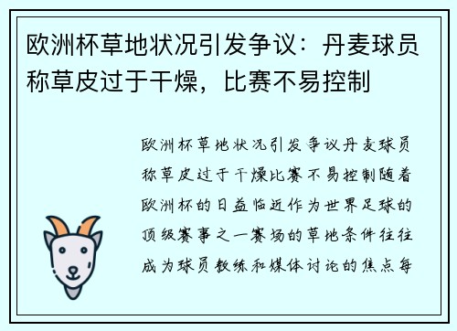 欧洲杯草地状况引发争议：丹麦球员称草皮过于干燥，比赛不易控制