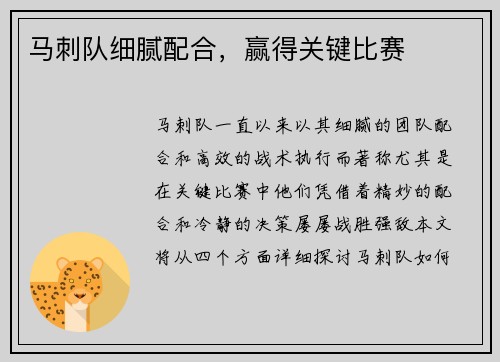 马刺队细腻配合，赢得关键比赛